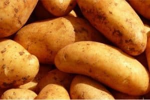 How can eating potatoes help pregnant women
