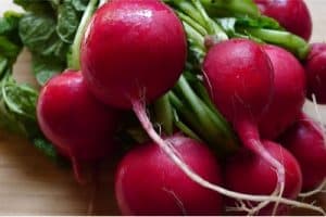 Why should pregnant women include radishes in their diet