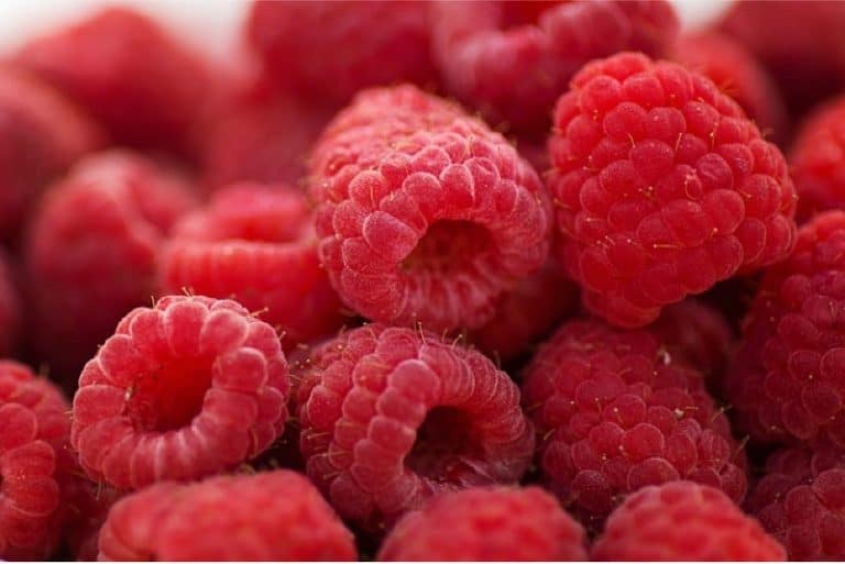 Why are raspberries a good addition to my pregnancy diet