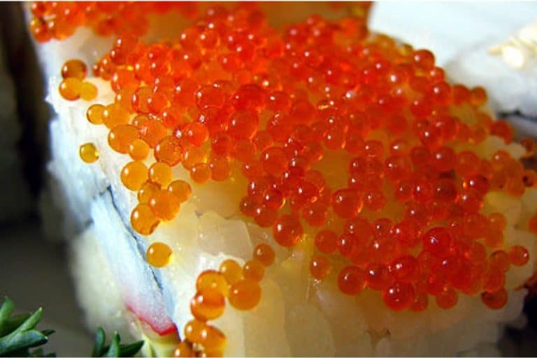 Can I Eat Roe While Pregnant?