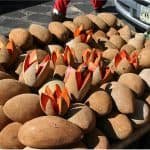What are the nutritional benefits of having sapote mamey during pregnancy