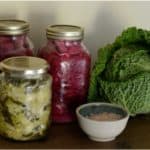 How does sauerkraut enrich my pregnancy diet