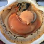 What nutrients are scallops rich in