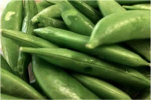 Are there any benefits of eating snap beans during pregnancy