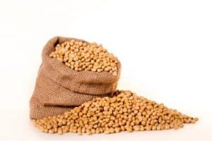 I really like soybean. Should I limit my consumption during pregnancy