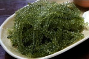 Should I be eating spirulina seaweed in my pregnancy