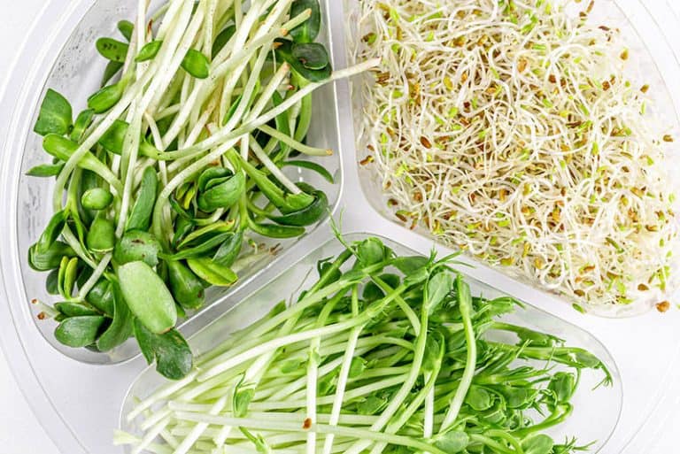 Are sprouts such as bean sprouts