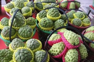 What are the nutritional benefits of having sweetsop during pregnancy