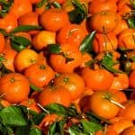 I love having tangerines during winters. Is it okay to continue having it during pregnancy