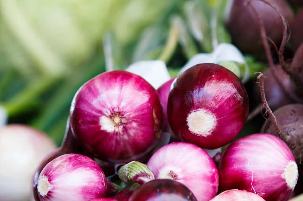 Outbreak of Salmonella infections linked to red onions imported from the United States