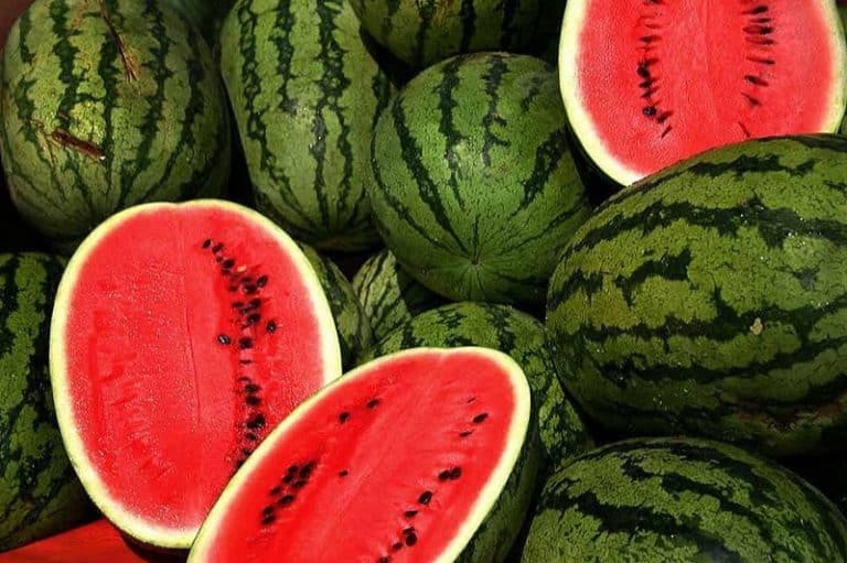 What are the benefits of having watermelon during pregnancy